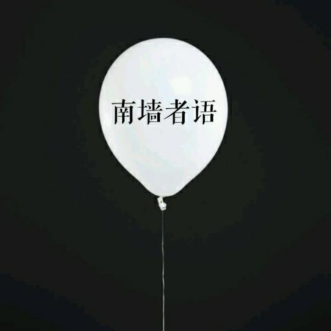 南墙者语