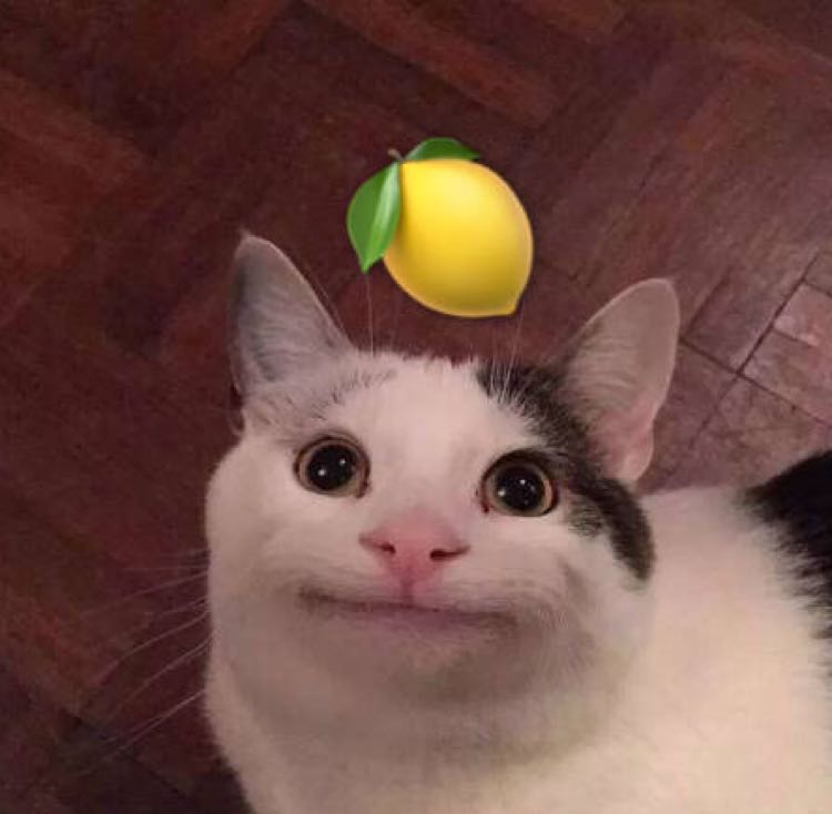 夏与蔷薇花